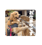 びすけ物語／mimi27（個別スタンプ：39）