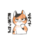 色んな柄のねこちゃんたち（個別スタンプ：9）