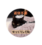 黒猫acw（個別スタンプ：8）