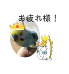 ミィミィスタンプ！（個別スタンプ：4）