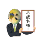 ミィミィスタンプ！（個別スタンプ：5）