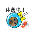 ミィミィスタンプ！（個別スタンプ：7）
