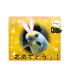 ミィミィスタンプ！（個別スタンプ：9）