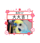 ミィミィスタンプ！（個別スタンプ：11）