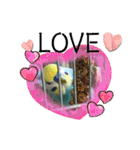 ミィミィスタンプ！（個別スタンプ：16）