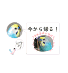 ミィミィスタンプ！（個別スタンプ：17）