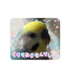 ミィミィスタンプ！（個別スタンプ：22）