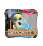 ミィミィスタンプ！（個別スタンプ：23）