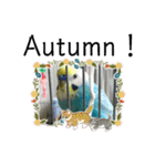 ミィミィスタンプ！（個別スタンプ：24）