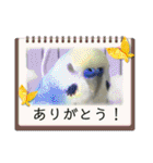 ミィミィスタンプ！（個別スタンプ：33）