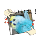 ミィミィスタンプ！（個別スタンプ：39）