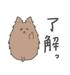 毛が豊かな犬 ＊日常＊シンプル＊（個別スタンプ：6）