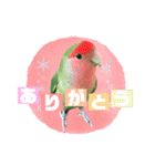 pi _1（個別スタンプ：3）