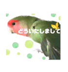 pi _1（個別スタンプ：5）