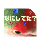 pi _1（個別スタンプ：8）