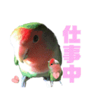 pi _1（個別スタンプ：9）