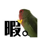 pi _1（個別スタンプ：11）