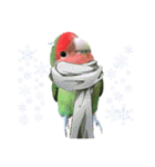 pi _1（個別スタンプ：14）