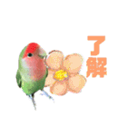 pi _1（個別スタンプ：15）