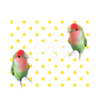 pi _1（個別スタンプ：16）