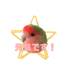 pi _1（個別スタンプ：17）
