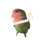 pi _1（個別スタンプ：20）