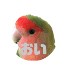 pi _1（個別スタンプ：22）