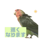 pi _1（個別スタンプ：24）