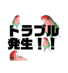 pi _1（個別スタンプ：27）