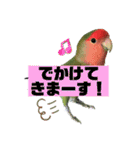 pi _1（個別スタンプ：30）