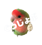 pi _1（個別スタンプ：33）
