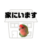 pi _1（個別スタンプ：34）
