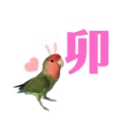 pi _1（個別スタンプ：38）