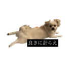 おもちのまいにち そのいち（個別スタンプ：2）