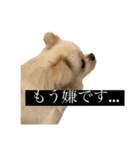 おもちのまいにち そのいち（個別スタンプ：3）