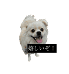 おもちのまいにち そのいち（個別スタンプ：4）