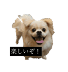 おもちのまいにち そのいち（個別スタンプ：5）