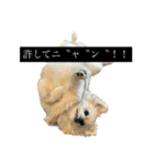 おもちのまいにち そのいち（個別スタンプ：6）