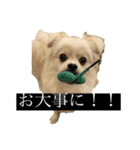 おもちのまいにち そのいち（個別スタンプ：17）