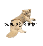 おもちのまいにち そのいち（個別スタンプ：20）