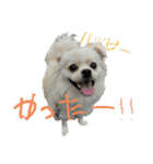 おもちのまいにち そのいち（個別スタンプ：24）