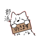 ウエスティの日常（ティータイム）（個別スタンプ：5）
