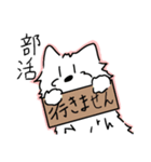 ウエスティの日常（ティータイム）（個別スタンプ：6）