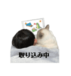 ラグドールのルカ日常パート3（個別スタンプ：6）
