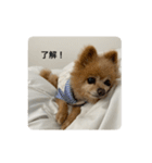 ふぁんたくん  2（個別スタンプ：1）