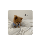 ふぁんたくん  2（個別スタンプ：9）