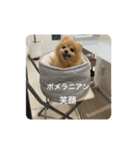 ふぁんたくん  2（個別スタンプ：27）