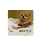 ふぁんたくん  2（個別スタンプ：31）