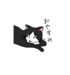【ねこ】ちょっとヤバい猫ミント添え（個別スタンプ：11）