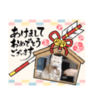 はるスタンプやー（個別スタンプ：5）